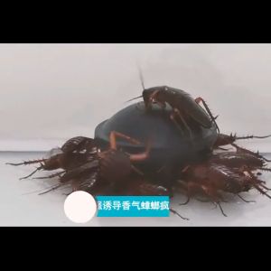 【new upgrade】Powerful Cockroach killer Cockroach eliminator Multi insect killer cockroach medicine Cockroach catcher Trap black box to kill cockroach lion tiger insect katol