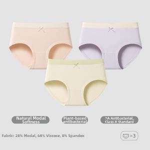 Coco Smart | Modal Soft Underwear for High School Girls