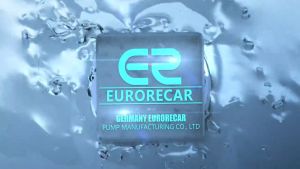 220V 60Hz Self Priming Fuel Transfer Pump Large Flow Explosion Proof Oil Pump Gasoline Diesel Electric Transfer Pump