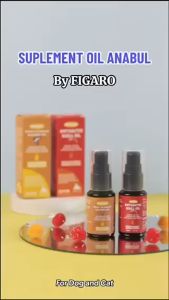 Minyak Ikan Krill Antarctik & Salmon Premium: Suplemen untuk Sistem Imun & Kesehatan Mata