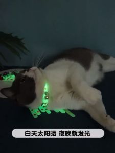 Pet Glowing Collars with Bells Glow at Night Dogs Cats Necklace Light Luminous Neck Ring Accessories（a random color）