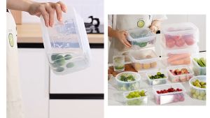 TerraFresh Lock It Plastic Food Container | Food Storage Box by Thehomeshoppe SG LOCAL STOCKS