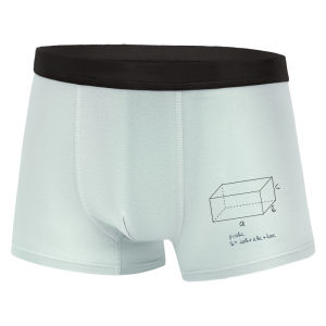 Miiow | Pure Cotton Underwear For Boys Teenage Developmental Period Thin Four Corner Briefs Comfortable Breathable Innerwear Shorts