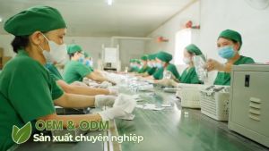 Combo 2 Hộp Trà Thái Hưng Túi Lọc: Thìa Canh/Cà Gai Leo/Đinh Lăng/Giảo Cổ Lam/An Gút Hưng/An Dạ Hưng/An Phế Hưng/An Thận Hưng/Tía Tô/Thanh Nhiệt/Gừng/Xuyên Tâm Liên