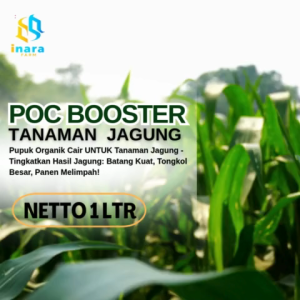 Pupuk cair khusus  jagungPupuk cair untuk jagungPupuk penyubur daun dan buahObat jagung