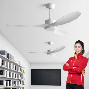 HUANGJIANG | High Airflow Quiet Inverter Remote Control Commercial Industrial Home Ceiling Fan