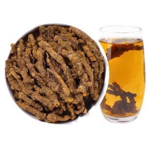 JUHETAI | Coptis and Cinnamon Herbal Tea Non Premium Wild