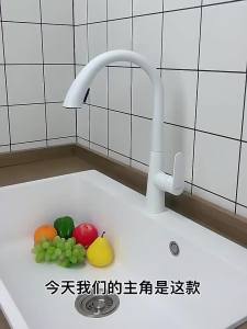 Flexible Adjustable White Kitchen Faucet
