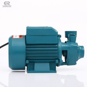 220V 60Hz 370W 0.5HP Self-priming Jet Pump External Booster Pump Small Electric Jet Pump Agricultural Farm Irrigation