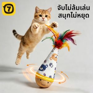7o | Interactive Entertainment Teething Cat Toy