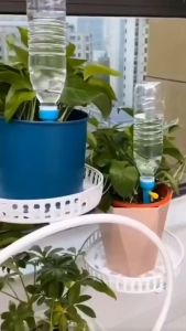 Set 10 que cắm điều chỉnh tưới nhỏ giọt lắp chai coca pepsi fanta Đầu tưới cây tự động Que tưới nước tự động Đầu tưới nhỏ giọt cho chậu cây