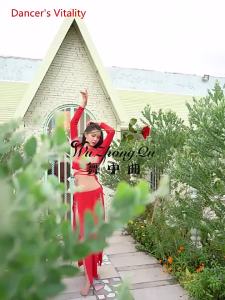 Oriental Dance Set Top Long Sleeve Split Skirt Practice Clothes Female Elegant Shirt Profession Performance Clothing Set