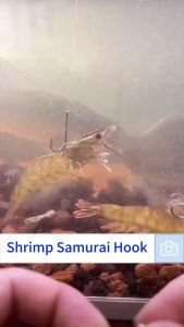 Klip Udang Hidup Prawn Back Hook Spring Clip Set Fishing Tackle Umpan Live Bait Siakap Mata Kail Udang Hidup Kolam Air Masin