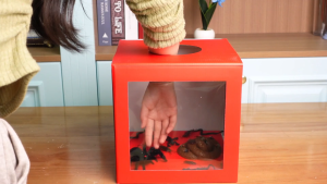 25*25*25cm Lucky Draw Paper Box / Colourful Capsules Ball Lottery Box / Lucky Draw Box