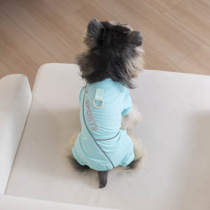 hipidog | Quần Áo Chống Nắng Cho Chó Mùa Hè