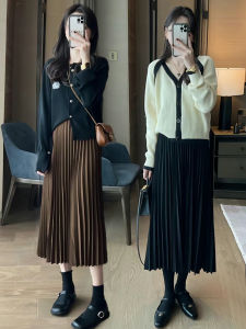 Black A-Line Pleated High Waist Mini Skirt