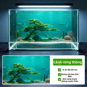 XIANXIANWUFANG | Decal Nền Bể Cá Hiệu Ứng 3D/5D HD Họa Tiết Đá Trang Trí