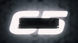 Kingston FURY Renegade G5 PCIe 5.0 NVMe M.2 SSD (1TB / 2TB / 4TB ) - Up to 14000MB/s