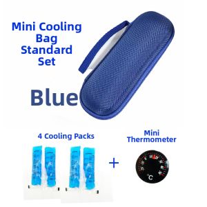 Portable Insulin Medicine Cold Pack Ice Bag Mini Cooler Bag Travel Camping Outdoor Activities Refrigeration Bag EVA Material