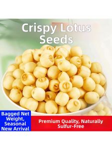 Crispy Sweet Coreless Lotus Seeds Snack