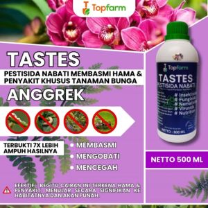 Obat Hama Bunga Anggrek / Obat Bunga Anggrek / Obat Bunga Biar Cepat Berbunga / Obat Bunga Supaya Subur / Obat Bunga Anggrek Supaya Berbunga