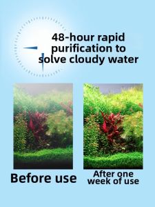Netlea | Nitrate Removal and Water Stabilizer Bacteria Capsule