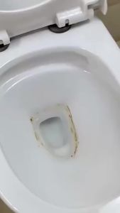 INS หินขัดชักโครก ขัดคราบชักโครก ทำความสะอาดห้องน้ำ ขจัดคราบฝังแน่น Toilet brush