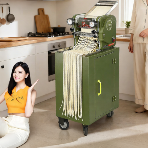 Olodo | Automatic Home Commercial Noodle Maker