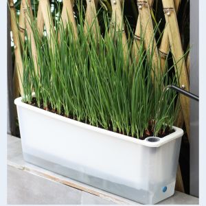 Narrow Space Suitable Long Rectangular Self-Watering Hanging Vegetable Planter