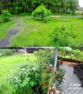 Camera Wifi CCTV 2 Mắt Xem 2 Màn Hình Cùng Lúc Xoay 360° Xem Đêm Có Màu Đàm Thoại Hai Chiều Báo Động Chống Trộm Chuyên Lắp Ngoài Trời Sân Vườn