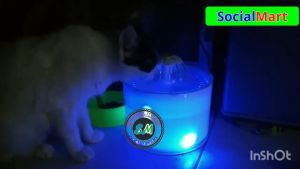 CD TaffHOME Water Dispenser Tempat Minum Kucing Anjing Eletrik Otomatis Anti Tumpah 2.4L - Gray Biru