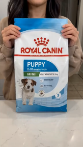 Royal Canin Mini Puppy 2kg Dry Dog Food - Size Health Nutrition for Small Breed Puppies 2 to 10 Months Old (Adult Weight 4-10kg) Premium Puppy Food with DHA for Brain Development & Immune System Support [New Stock]