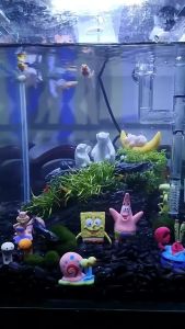 CoralCove ตู้ปลา ตกแต่งตู้ปลา บ่อปลา สะพานเรซิ่น บ้านไม้น้ำ ถังเหล้าองุ่น สไตล์จีน เพิ่มสีสันความงาม ให้ดูสวยงาม หรูหรา