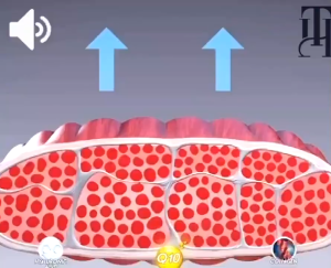 Butt lifting gummies BBL gummies are suitable for enlarging buttocks fuller peach buttockssagging buttocks Butt mengangkat gummies BBL gummies sesuai untuk membesarkan pantat pantat persik yang lebih penuh pantat sagging