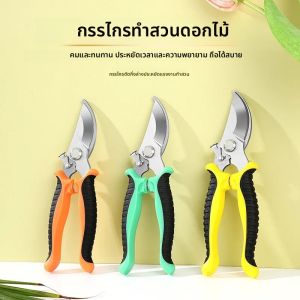 กรรไกรตัดแต่งกิ่งต้นไม้อเนกประสงค์ กรรไกรเก็บผลไม้ในสวน เครื่องมือปลูกถ่ายผลไม้พืชสวน