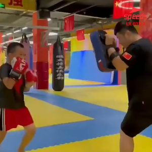 SPEEDS Foot Target Pad Boxing/ Karate Aksesoris Olahraga Bela Diri Samsak 033-1