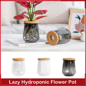1PC Self Watering Flowerpot Indoor Succulent Hydroponic Plants Pot ransparent Double Layer Plastic Self Watering Planter Office