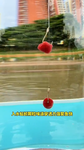Gewang Pancing Serbaguna Fish Food Flexible Formula Earthworm Flavor Effervescent Tablets ALL NATURAL Multi-Purpose