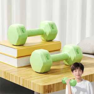 Home Use Exercise Dumbbell 2kg Pair