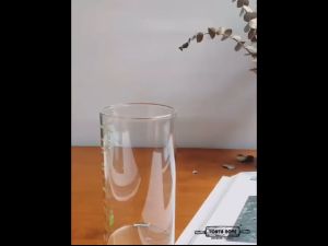 Cetakan Silikon Kue Bentuk Biji Kopi & Es Batu