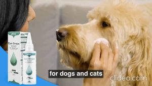 Borammy Pet Ear Care (Pet Ear Drops 60mL Pet Ear Hair Plucking Powder 42g)