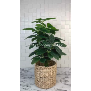 Pohon Hias Tanaman Artificial Daun Anubias X18 Semilatex Cover Eceng Gondok Dekorasi Hiasan Pajangan Ruang Tamu Aesthetic