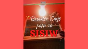 Foldable Plastic Brooder Cage para sa Sisiw