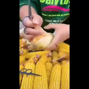 Alat Kupas Kulit Jagung Universal: Cara Efisien Membuka Kulit Jagung