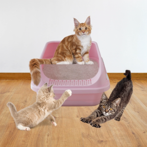 VALUE PACK KOREAN BENTONITE CAT LITTER SAND 10L STRONG CLUMP FAST ABSORPTION LOW DUST & ODOR CONTROL