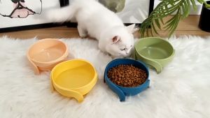 Pet Bowl Cat Food Bowl Elevated Cat Bowl Candy Cat Dog Food Water Bowl Anti-slip Neck Protection Bekas Makanan Kucing 猫碗
