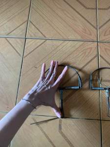 1 cái bẫy kẹp chuột cực nhạy(hình vòng cungtròn)