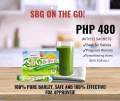 Salveo Barley Grass Powder in Sachet SBG On The Go (100% Organic and Pure Barley Grass) Australian Grown. 