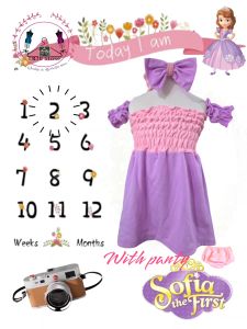 3 in 1 Baby Dress Themed Characters OOTD for Baby Girl XS (1-8 mos)/ S (6-18 mos)