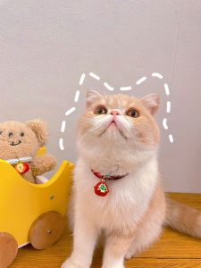 Dây Chuyền Chuông Đỏ Dâu Tây Cho Chó Mèo Mùa Lễ Hội Giáng Sinh Và Năm Mới Phụ Kiện Du Lịch Cho Chó Mèo Thương Hiệu Papa Cat